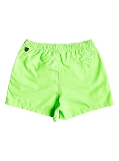 Quiksilver EVERYDAYVL15 Boardshort Badehose - Green Gecko - S -Wassersportbekleidung Geschäft eqyjv03407 everydayvolley15f ggy0 bck1
